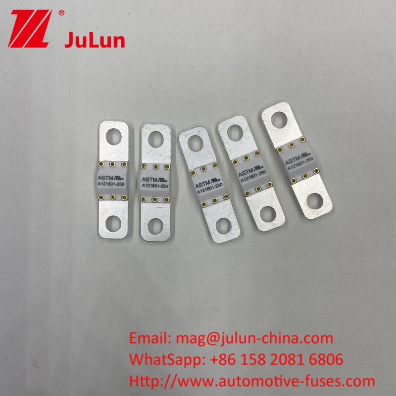 125 VDC Automotive Battery Charger Fuse A121601-300A Battery Energy Storage Motorcycle