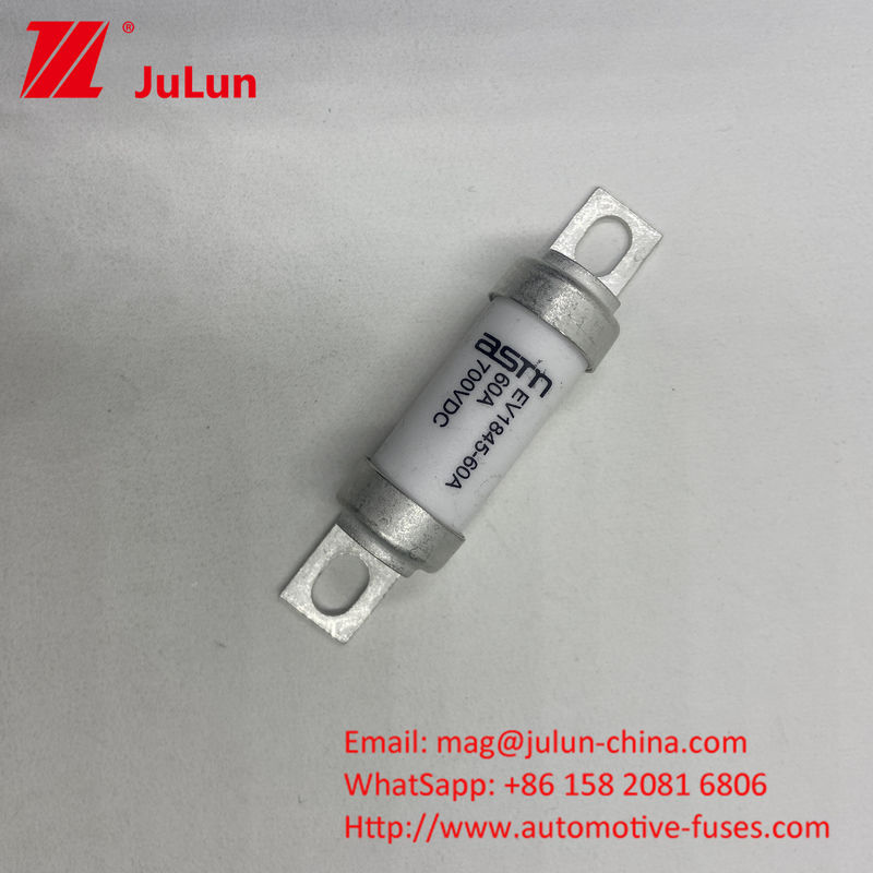 ASTM EV1845 150A Output Electric Vehicle Fuse 10kA Breaking Capacity Screw M8 M6 Mounting