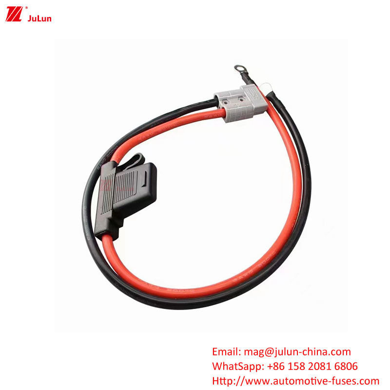 Eu UL Standard 30A-100A Automotive Fuses Are Used In The Field Of Marine New Energy Vehicles
