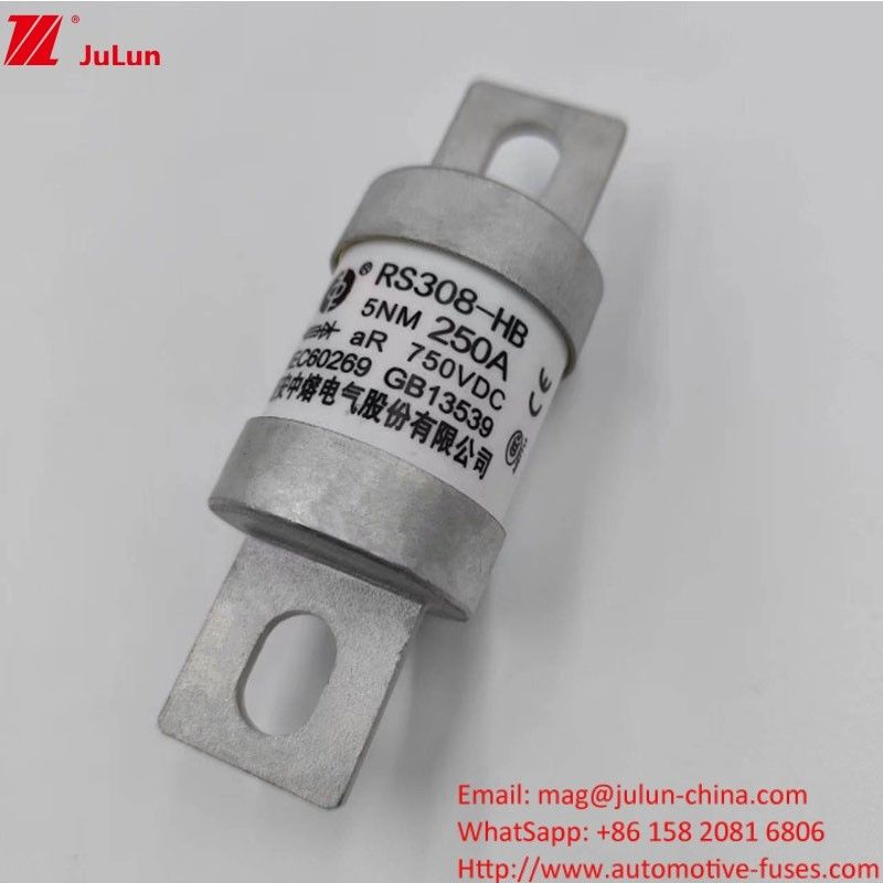 200A 250A 300A -400A Electric Vehicle Fuse Screw M8 M6 Mounting Method Terminal Type 750VDC Energy Fuse