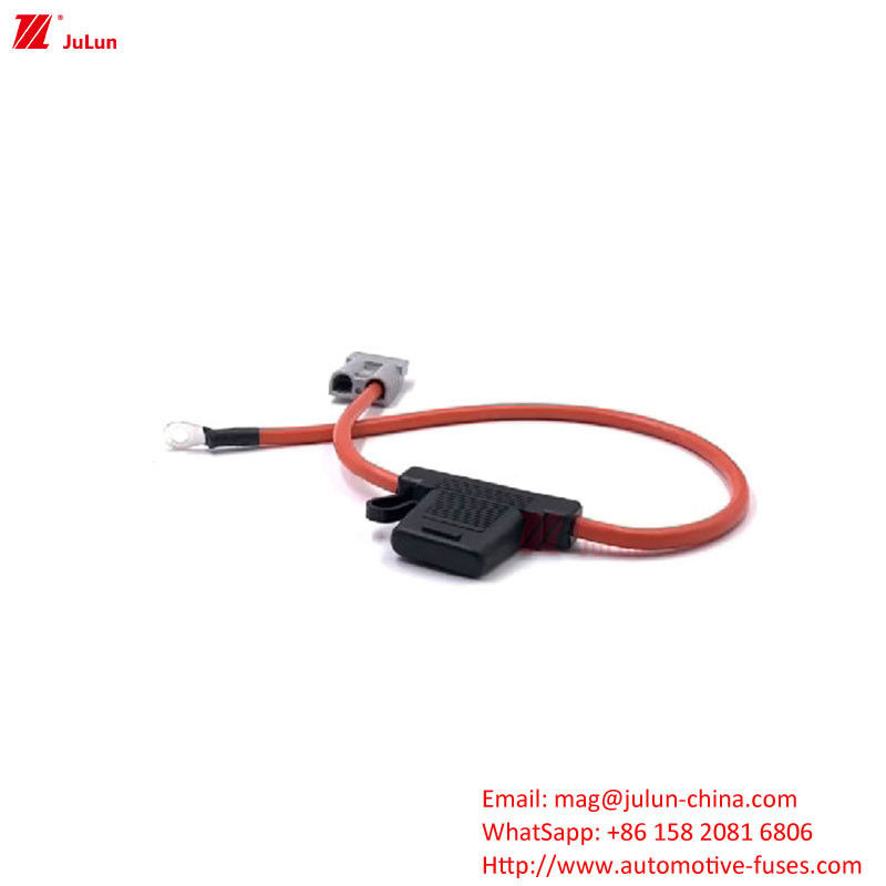 Direct Car Fuse Holder For Matching Carton Packaging And Custom Fuses With Stable Delivery