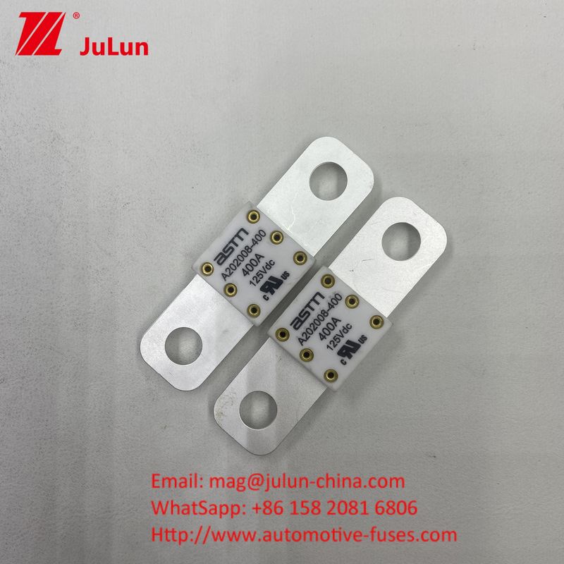 Powerful Automotive Battery Charger Fuse ASTM A202008 150A 125VD Batteries And 50.8mm Hole Distance