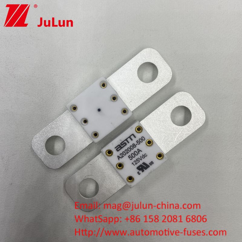 Professional A202008 300A 125VDC Heavy Duty Automotive Battery Charger Fuse 100A 150A 200A 250A 300A 350A 400A 500A 20KA Breaking Capacity