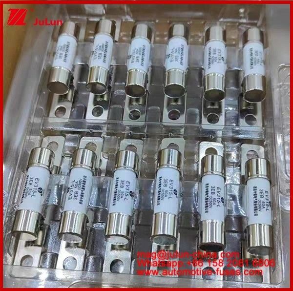 EV315-L 3EB 30A Fuse  10A 15A 20A 25A 30A 40A 50A  DC500V Ceramic Rated V  Home Ev Charger For Electric Car Bolted Construction EV Traction System