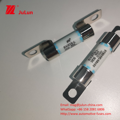 Short Circuit Protection Electric Vehicle Fuse 40A With Breaking Capacity 3KA Automotive
