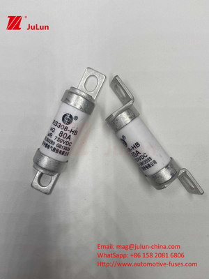 Ceramic EV Fuses  750VDC For Safe Chargingautomobile Application 63A25A 15A 30A 750VDC RS308 FUSE