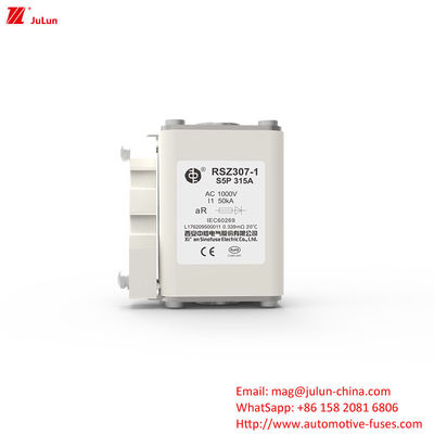 Automotive Battery Charger Electric Vehicle Fuse 1000V AC With Bolt On Terminals