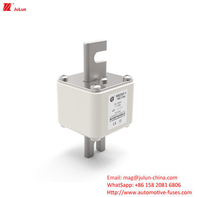 RSZ307 200A-450A DC250V Electric Vehicle Fuse