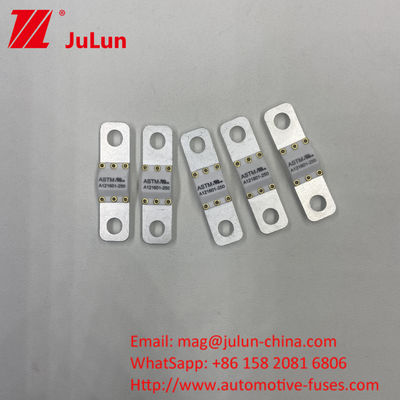 125 VDC Automotive Battery Charger Fuse A121601-300A Battery Energy Storage Motorcycle