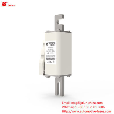 200A DC1000V High Voltage Fuse For Electrical Equipment Bolt On Fuses For Partial Range Protection