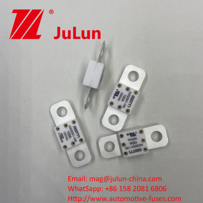 ASTM A202001-250A 150VDC High Current Rating Ceramic Vehicle Fuses for Short Circuit Protection