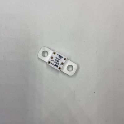 300A 150VDC Ceramic Automotive Fuses Breaking Capacity 16KA 20KA