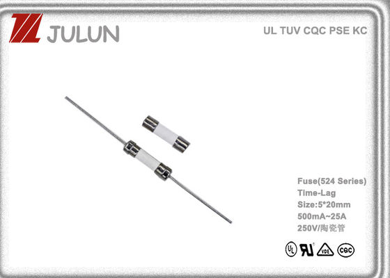 250VAC Ceramic Tube Time Lag Miniature Fuse For Lighting Industry