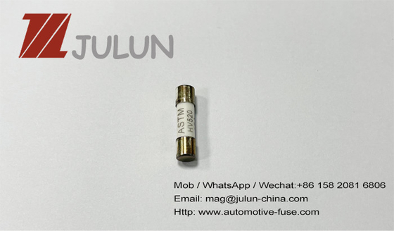600V 500V 5x20mm Time Delay Ceramic Tube Fuses